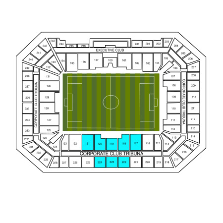 Tribuna Platinium Central